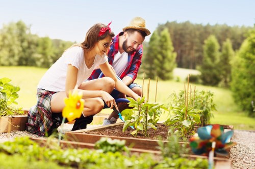 Lawn and border garden maintenance in Lampton