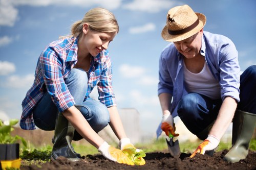Seasonal lawn maintenance for a Lampton garden