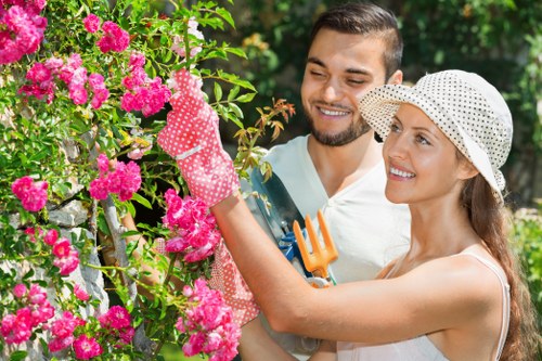 Skilled tree surgeon working in Lampton