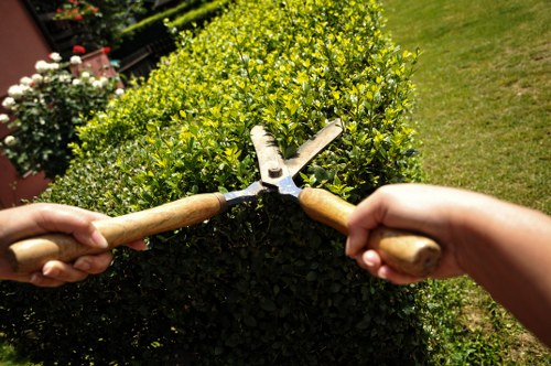 Risk assessment practices for garden maintenance tasks