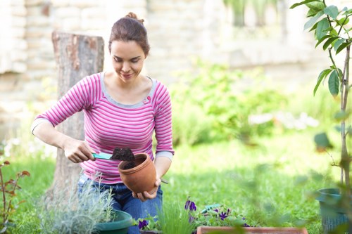 Planning a landscaped garden with paths and seating in Lampton
