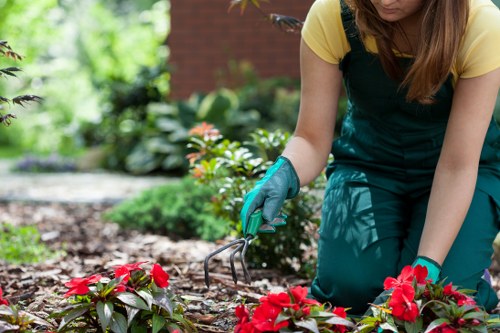 Soft landscaping with flowering plants and shrubs in Lampton