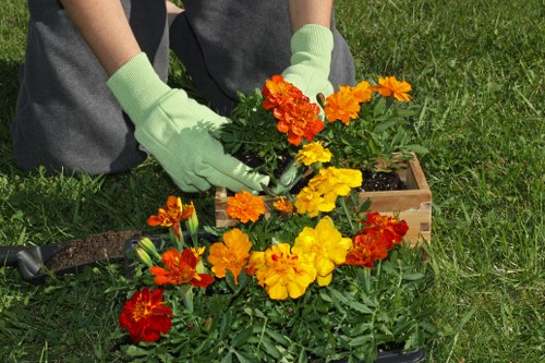 Seasonal garden maintenance by gardeners in Lampton