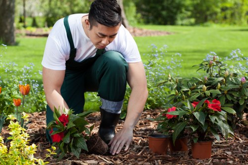 Custom deck design and build services in Lampton