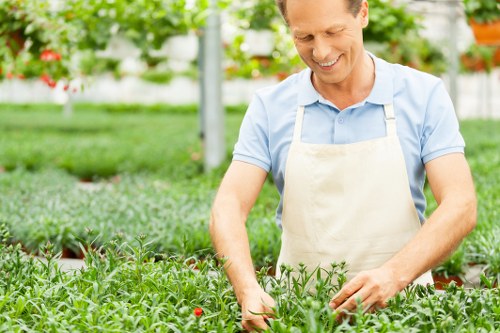 Seasonal lawn maintenance in Lampton with mowing and feeding