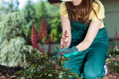 Professional Lampton gardener working on structured outdoor spaces