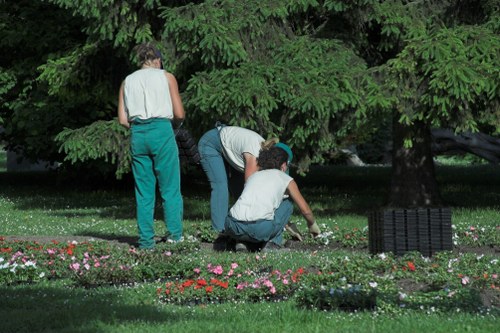 Regular garden upkeep and landscaping support in Lampton