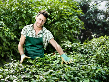Durable fencing options for Lampton businesses