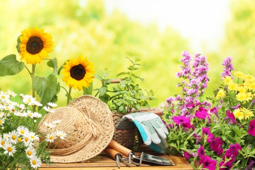 Professional landscaping in Lampton project planning and design