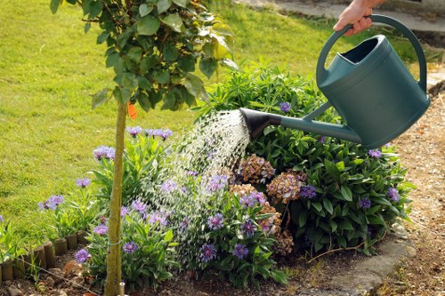 Professional lawn and hedge care in Lampton garden services