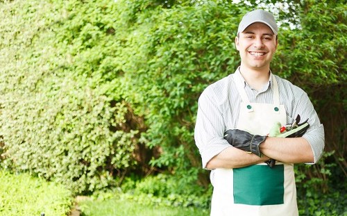 Lawn care in Lampton addressing weeds moss and bare patches