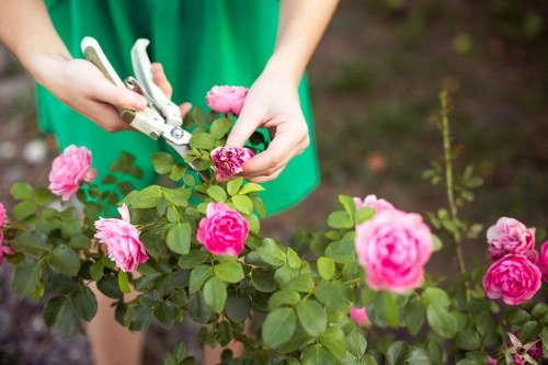 Green waste and debris removal during garden clearance in Lampton