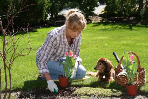 Professional Lampton gardeners improving plant health