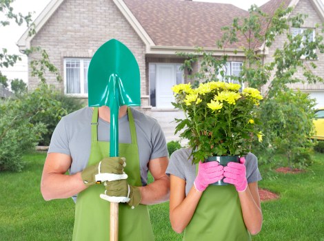 Front garden landscaping in Lampton with pathways and shrubs