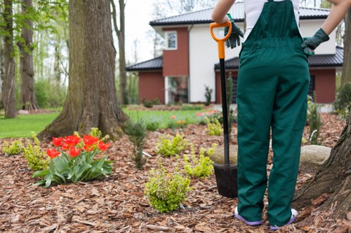 Professional lawn care in Lampton for a tidy garden