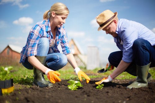 Professional insured gardening service in Lampton