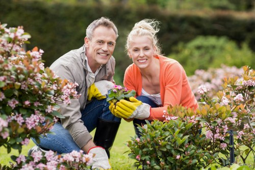 Professional tree surgery services in Lampton