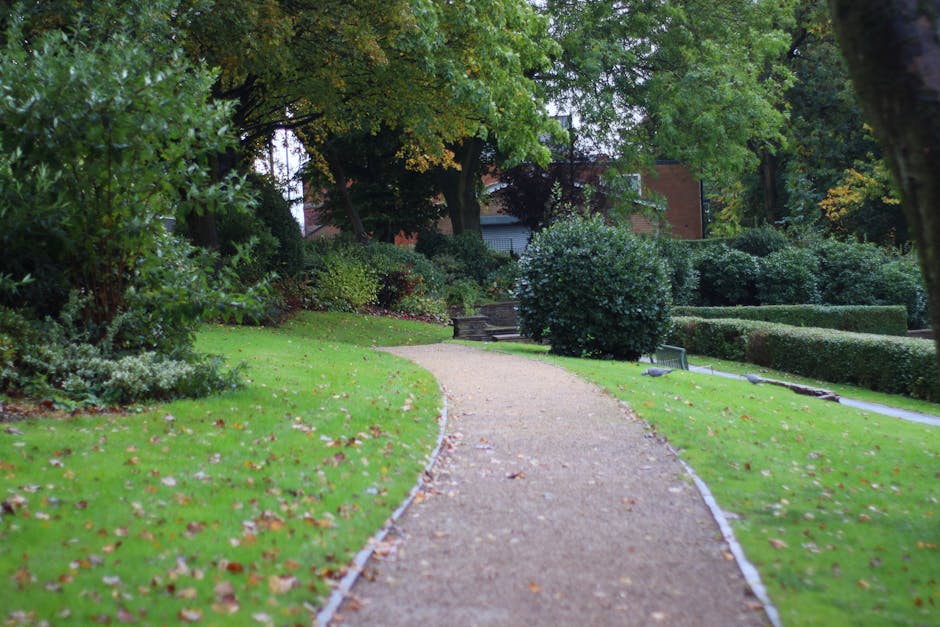 A curved gravel pathway winds through a well-maintained front garden in Lampton Park, bordered by lush, neatly trimmed green grass and edged with white garden edging. On either side of the path, dense